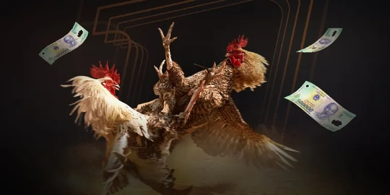 Khám Phá Sân Chơi Đá Gà V7Bet Sôi Động Và Hấp Dẫn Nhất Hiện Nay